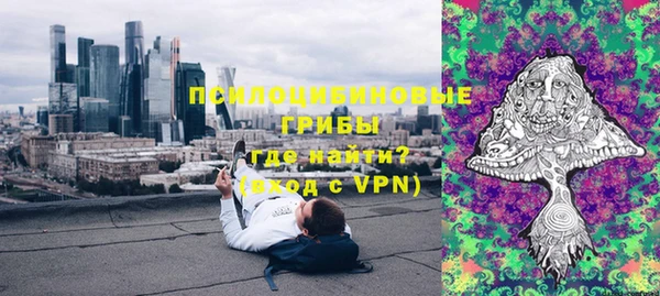 хмурый Верхний Тагил